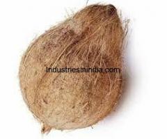 Coconut Supplier in Tenkasi