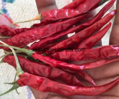 Red chilli suppliers in guntur