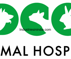 Best Veterinary Hospital in Gurgaon - DCC Animal Hospital