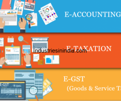 Job Oriented Accounting Course in Delhi, NCR 110003  by SLA Accounting Institute, Taxation and Tally