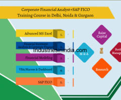 Financial Modelling Certification Course in Delhi.110032. Best Online Live Financial Analyst 